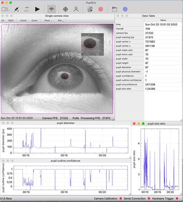 PupilEXT: Flexible Open-Source Platform for High-Resolution Pupillometry in Vision Research